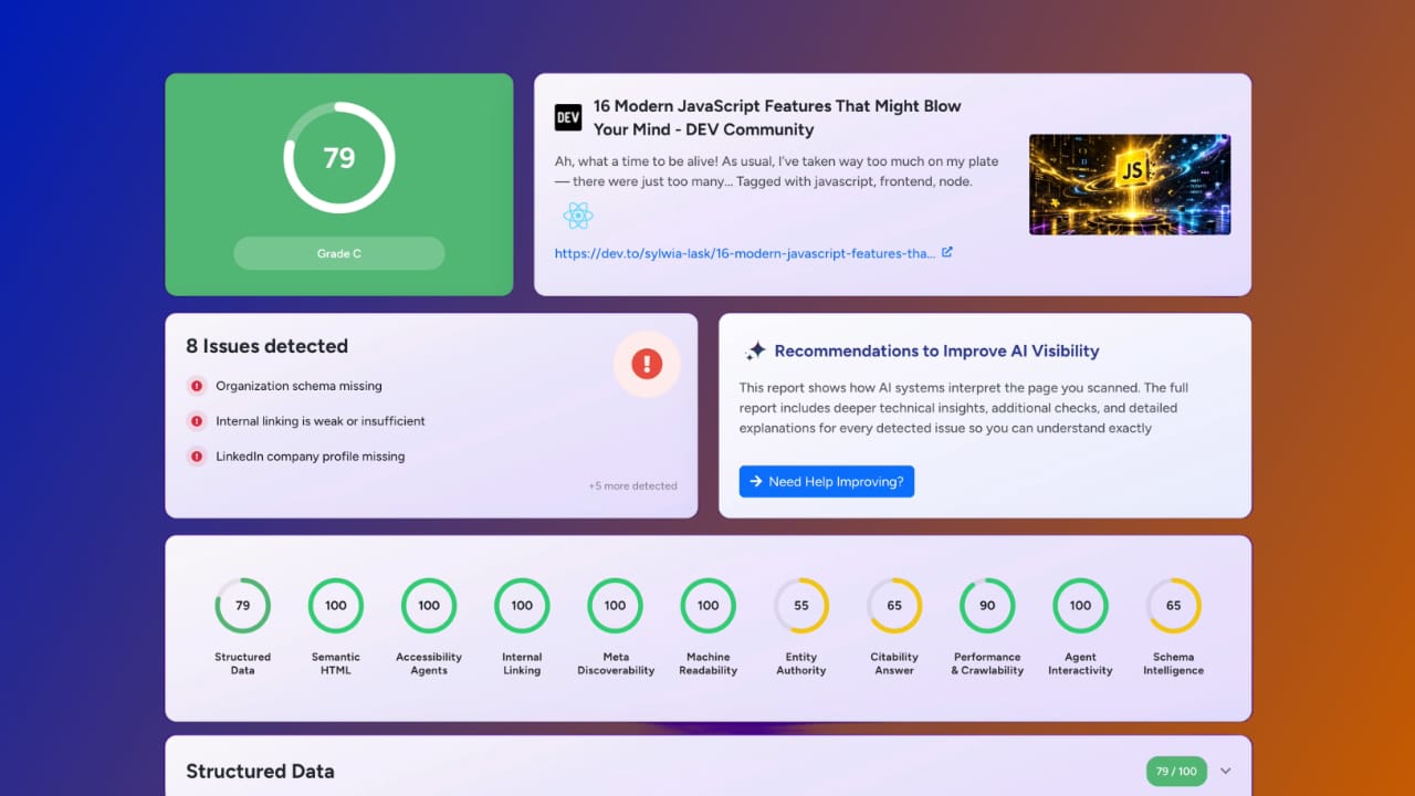 AI Visibility GEO Checker Result