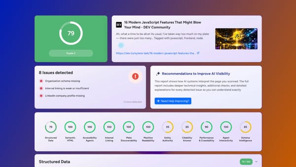 AI Visibility GEO Checker Result